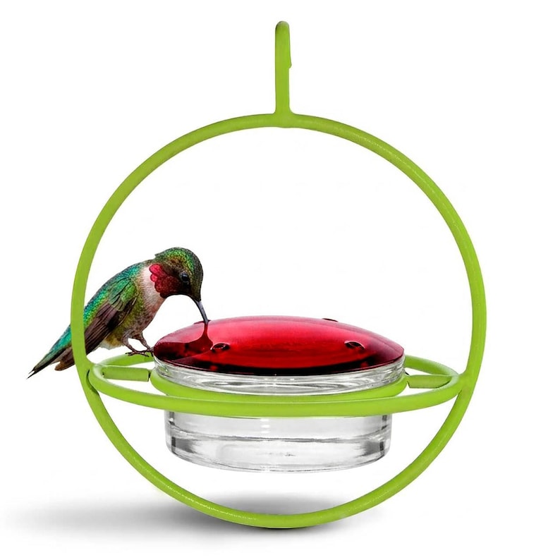 Hummble Bold Hummingbird Feeder - Eco-Friendly Recycled Glass & Metal, Garden Gift for Her - 4 Port Nectar Dish for Outdoor Hanging Decor Green