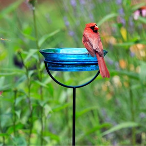 A Cardinal bird rests on the edge of a bright aqua blue-colored bird bath. The birdbath is held up by a rust-resistant metal stake. Silhouettes of flowers can be seen in the background.
