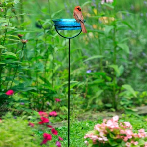 A Cardinal bird rests on the edge of a bright aqua blue-colored bird bath. The birdbath is held up by a rust-resistant metal stake. Silhouettes of flowers can be seen in the background.