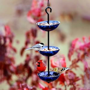 Triple Hanging Poppy Bird Feeder