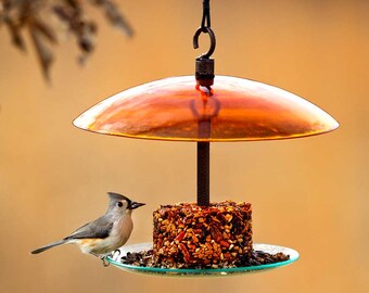 May include: A hanging bird feeder featuring a circular amber-colored glass roof and a clear glass base tray. A central metal rod supports a cylindrical block of mixed birdseed. A small gray tufted titmouse bird perches on the edge of the tray.