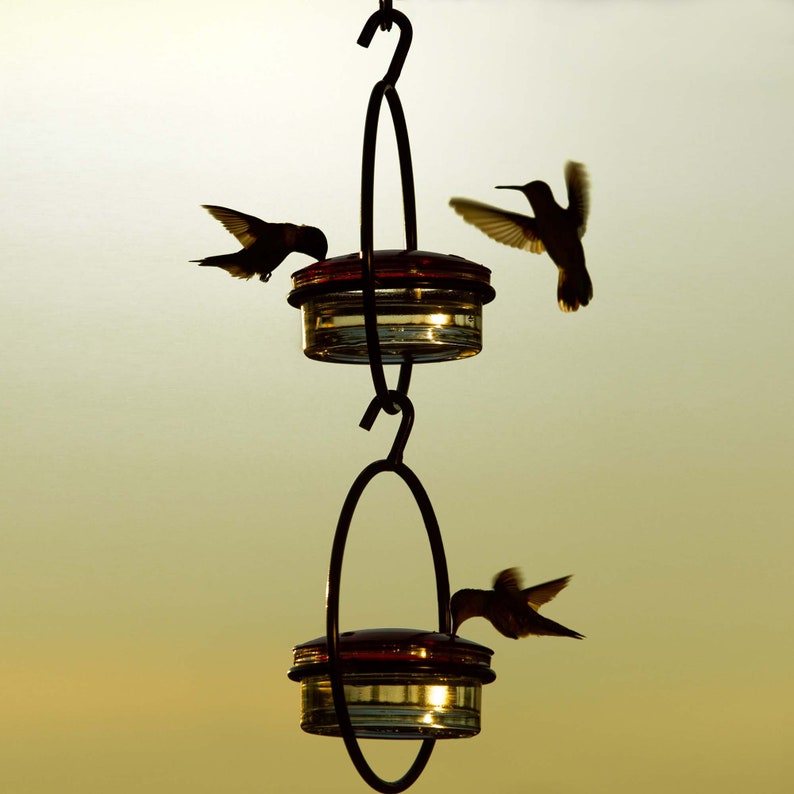 May include: Silhouette of a double hummingbird feeder with three hummingbirds. The feeder has two glass jars with red lids, suspended by a black metal frame. The birds are in flight, with wings spread, feeding from the feeder against a soft yellow background.