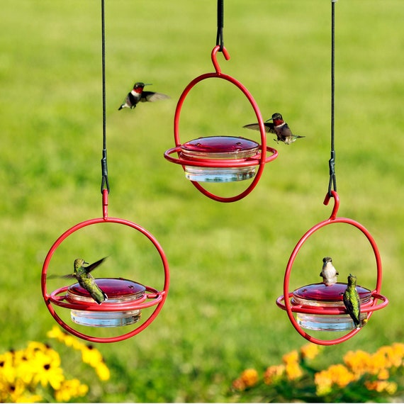 Humble Slim Circular Hummingbird Feeder, 3-Pack - Ant & Bee Proof Metal Hanging Feeders For Garden
