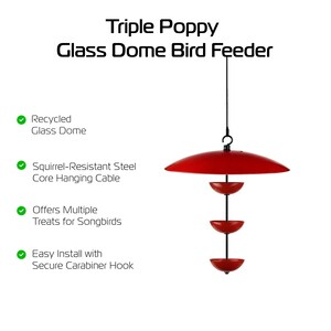Triple Poppy Bird Feeder with Baffle – Weather Resistant Hanging Feeder, Outdoor Garden Accessory for Songbirds and Yard Accent image 3
