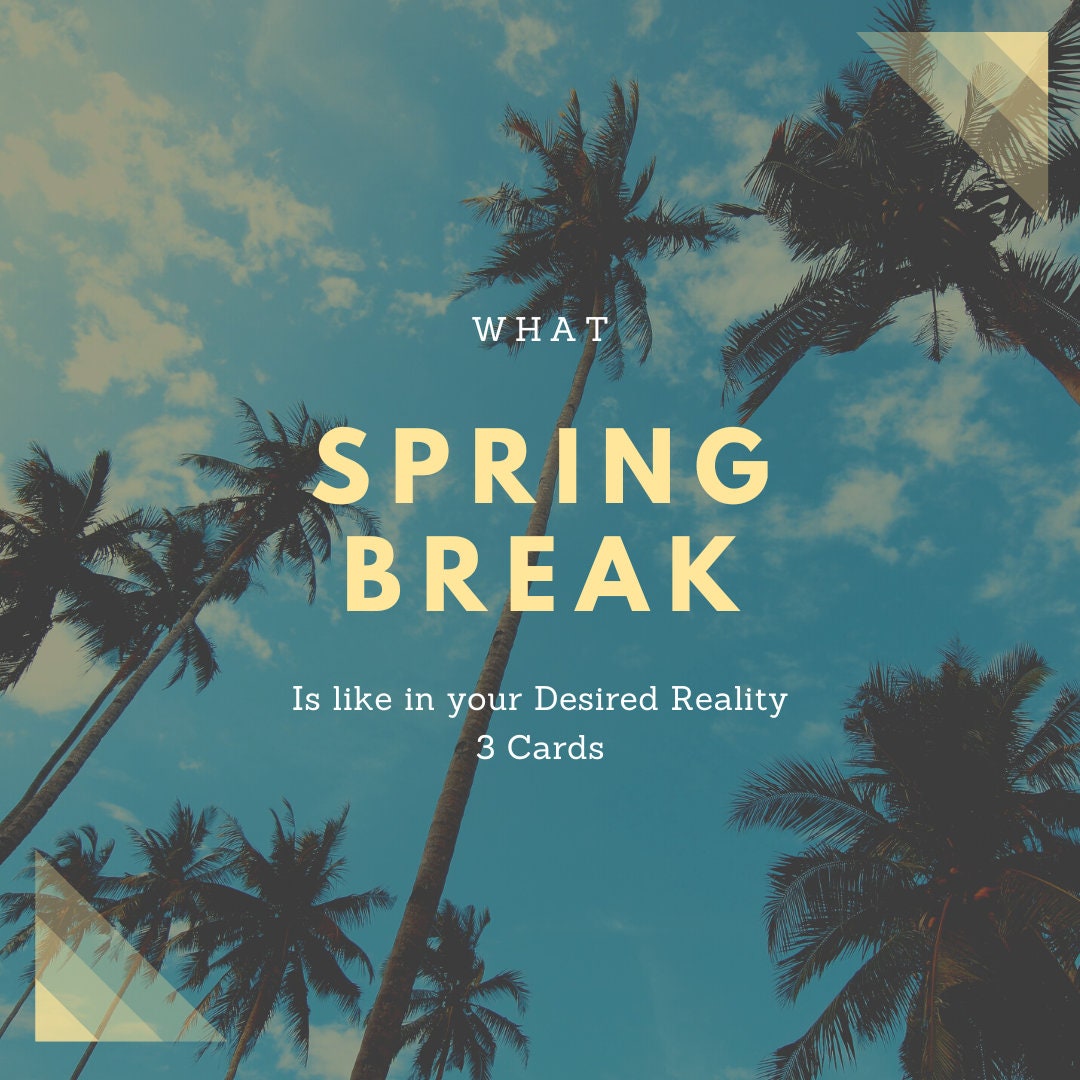 Spring Reality What Spring Break is Like in Your Desired Reality 3 Cards - Etsy