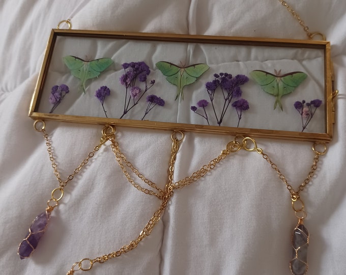 Luna Moth Pressed Flowers Suncatcher, With Amethysts, Aventurine
