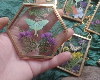 Pressed Flower Glass, butterfly moth small brass glass frames,fern flowers butterfly curiosity oddity shadowbox victorian