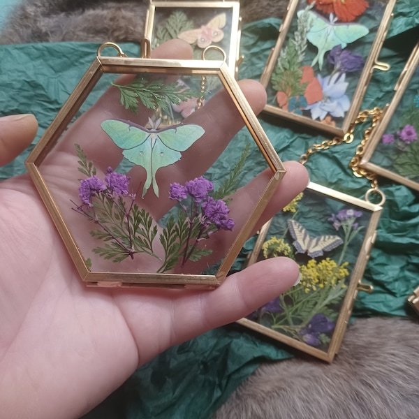 Pressed Flower Glass, butterfly moth small brass glass frames,fern flowers butterfly curiosity oddity shadowbox victorian