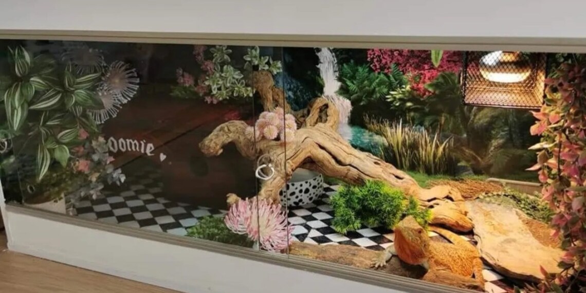 Vivarium Background Etsy