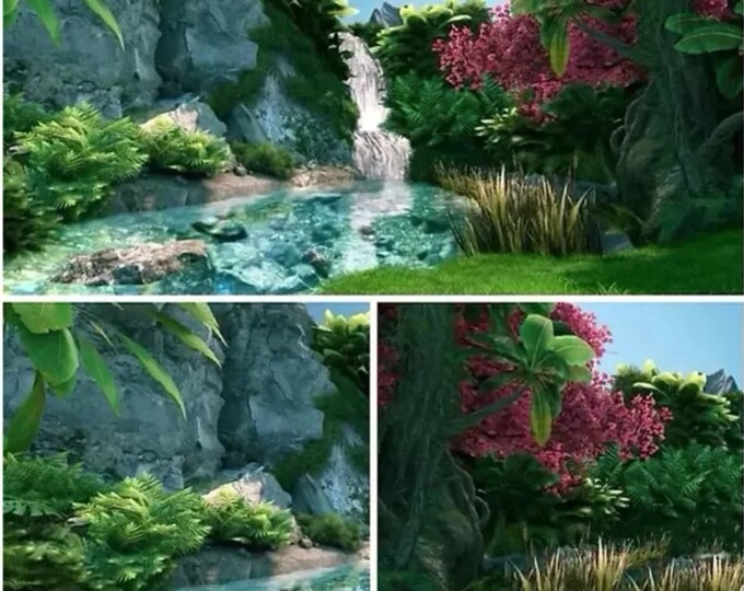 Vivarium Background Etsy