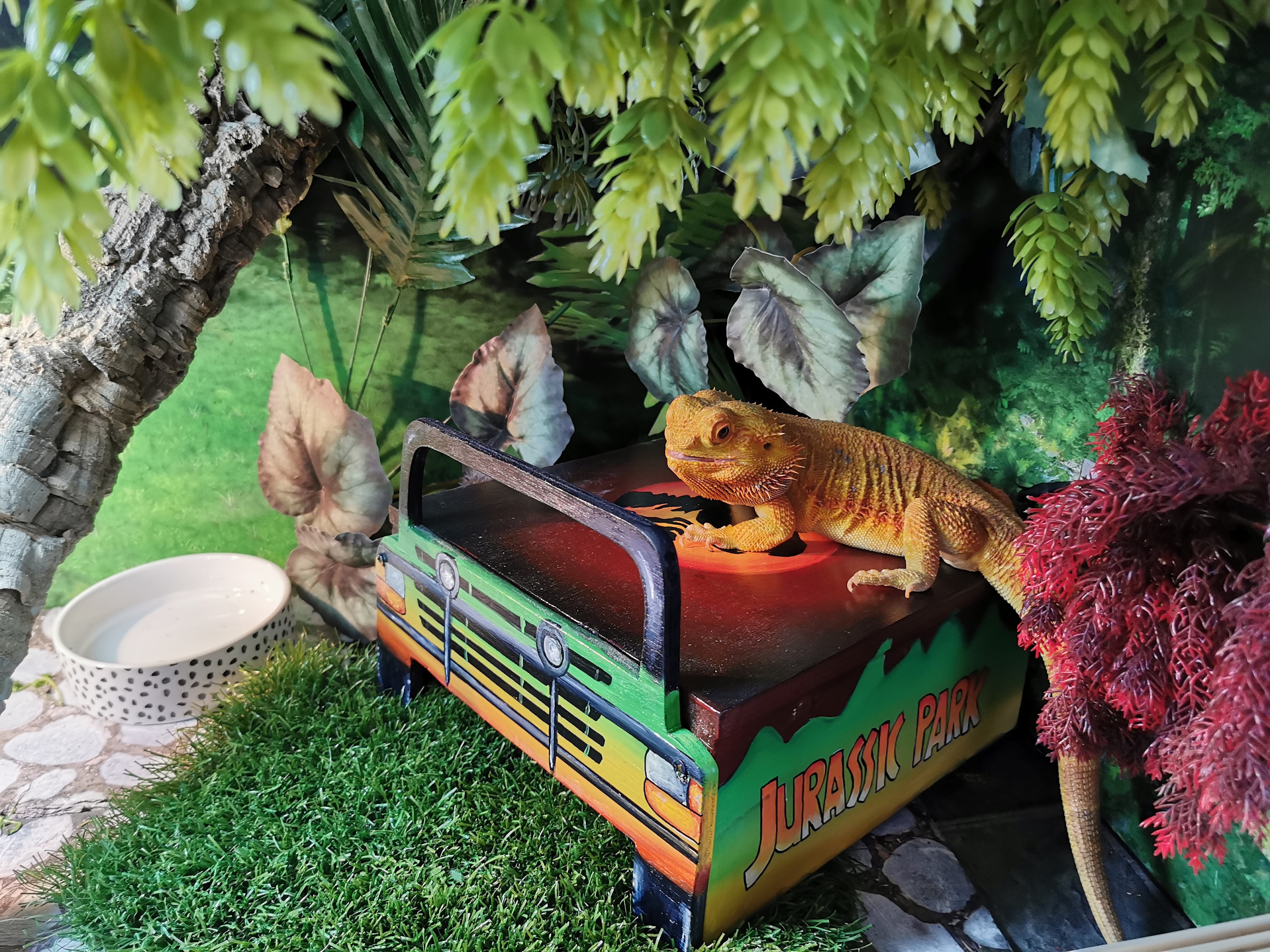 Small Bearded Dragon Terrarium Accessories Bearded Dragon Viv