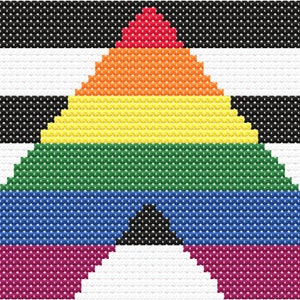LGBTQ+ Ally Flag