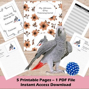 Könnte beinhalten: Druckbarer Trainingsjournal für Graupapageien. Das Cover zeigt ein Blumenmuster und einen grauen Papagei. Das Journal enthält Seiten zum Verfolgen von Trainingseinheiten, Verhaltensweisen und Verstärkern.