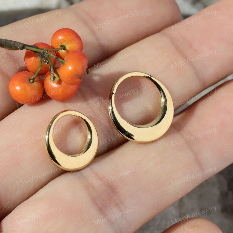 16G ASTM F136 Titan Mond Septum Ring / Stahl Septum Clicker Hoop / Daith Hoop Ohrring Gold / Klappseptum Ring Gold 1.2 8 / 10mm Silber Gold Bild 7