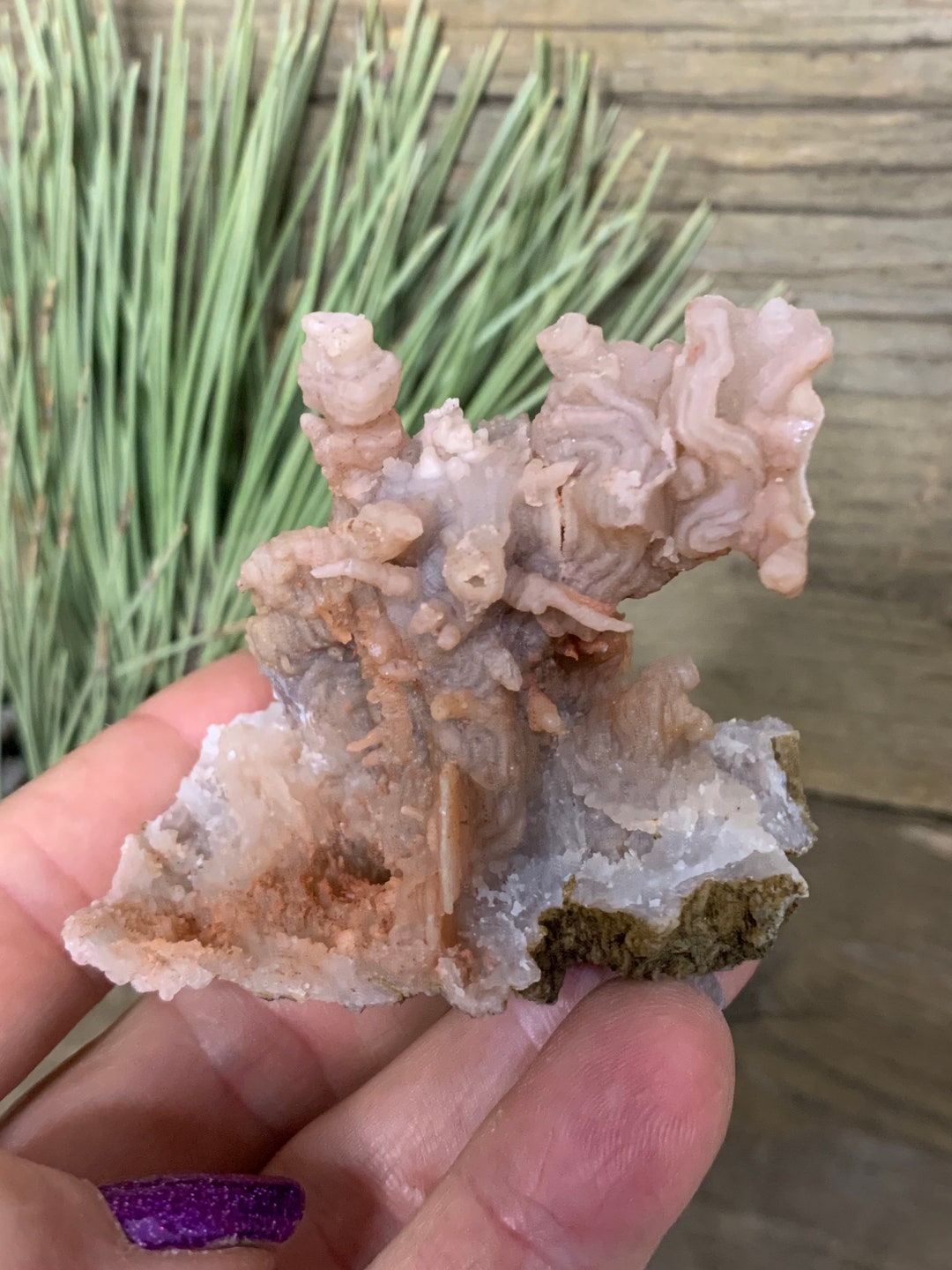Pink Amethyst Partial Geode/ Oddity Specimen/ Natural Crystal/ Etsy