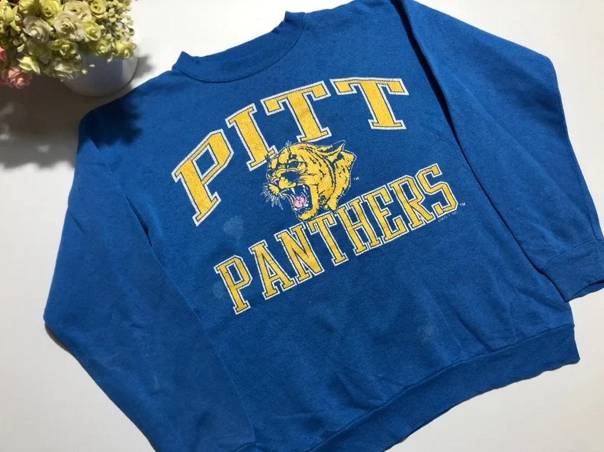 Pitt Sweatshirt - Etsy