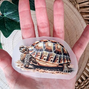 Könnte beinhalten: Ein detaillierter Aufkleber mit einer Schildkröte mit braunem und beigem Panzer, strukturierter Haut und detaillierten Beinen. Der Aufkleber wird in einer Hand gehalten und zeigt das komplizierte Design und die realistische Darstellung des Reptils.