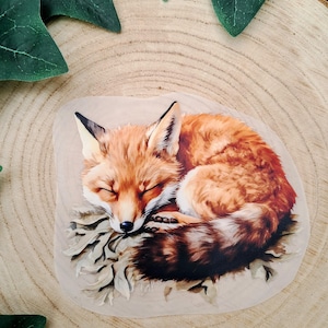Könnte beinhalten: Ein Aufkleber mit einer detaillierten Illustration eines schlafenden Rotfuchses, der sich auf einem Bett aus getrockneten, hellen Blättern zusammengerollt hat. Der Fuchs hat orangefarbenes und weißes Fell, schwarz gespitzte Ohren und eine dunkle Nase.