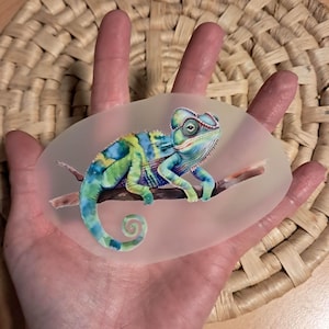 Könnte beinhalten: Eine farbenfrohe Chamäleon-Illustration auf einer transparenten, ovalen Oberfläche. Das Chamäleon ist in Blau-, Grün- und Gelbtönen dargestellt und sitzt auf einem braunen Ast. Das Kunstwerk wird in einer Hand gehalten, mit einem gewebten Hintergrund.