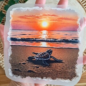 Könnte beinhalten: Quadratischer Druck mit einem Aquarellgemälde einer Babyschildkröte an einem Sandstrand bei Sonnenuntergang. Der Himmel ist ein Farbverlauf aus Orange und Rosa, wobei sich die Sonne im Wasser spiegelt. Die Schildkröte ist braun und weiß.