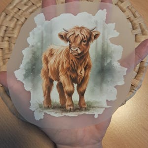 Bügelbild Kälbchen Highland Cow Kuh Baby Bauernhoftiere braun beige zum selbst aufbügeln ca. 12 cm hoch Eulinchen handmade