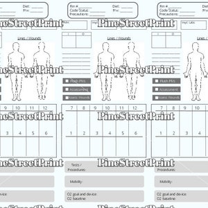 Three patient nursing report / brain sheet