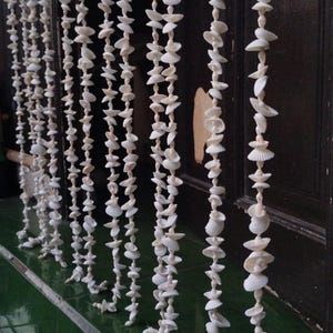 Puede incluir: Cadenas verticales de conchas blancas cuelgan, creando un efecto de cortina. Las conchas, de diversas formas, están ensartadas para formar elementos decorativos. El fondo es una puerta de madera oscura y un suelo de baldosas verdes.