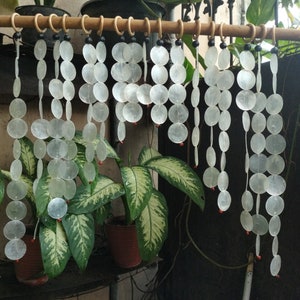 Capiz Shell Curtain: Boho Doorway Divider, Ocean Breeze Decor