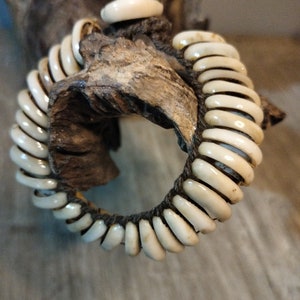 Bracciale antico in conchiglia di ciprea / Bracciale in conchiglia di mare / Bracciale in conchiglia naturale / Bracciale in conchiglia di ciprea Kauri / Bracciale Ibiza / Bracciale in conchiglia di ciprea