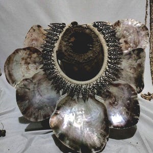 Handmade Papua Shell Necklace: Kuping Gajah, Tribal Wall Decor