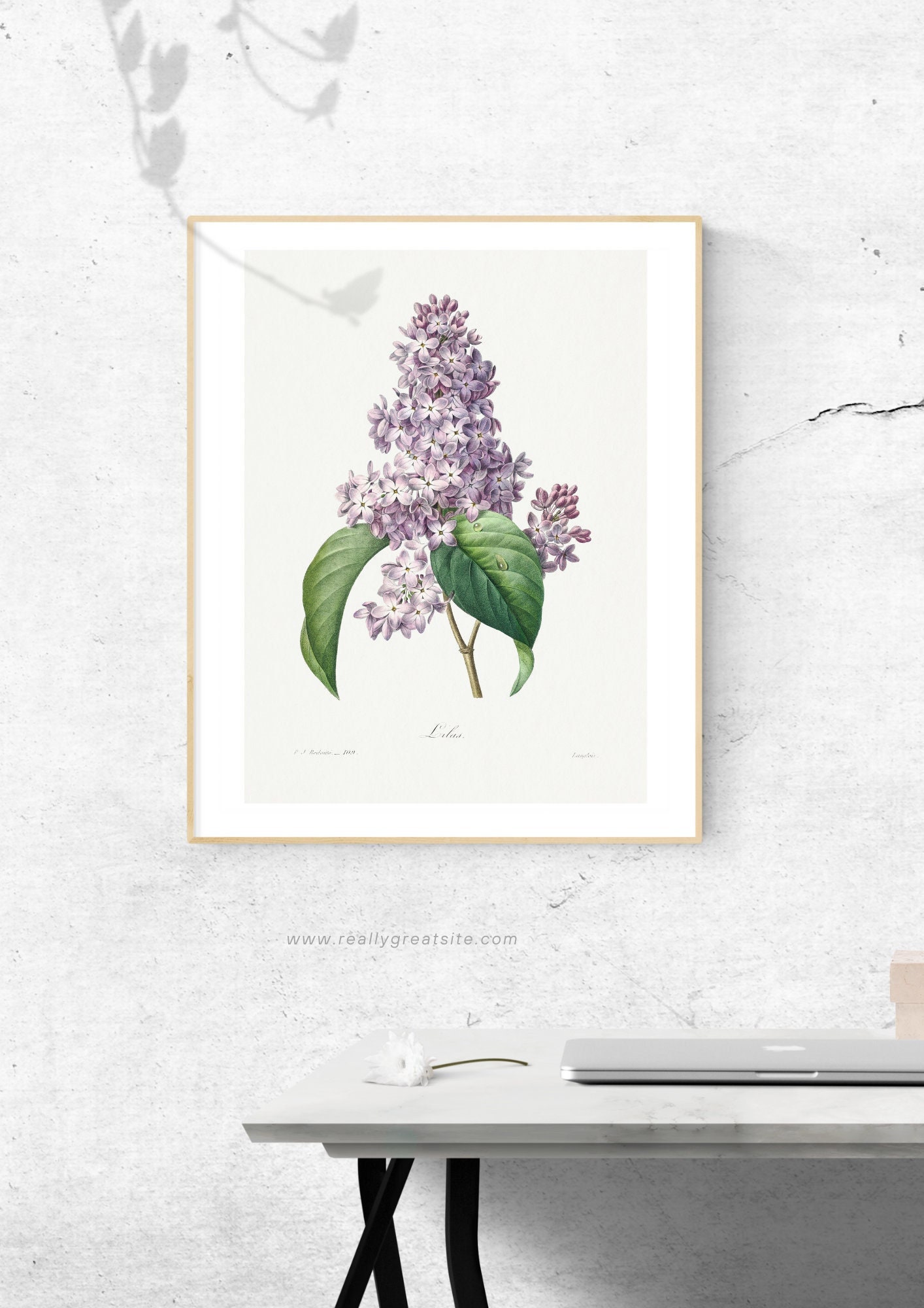 Prints Digital Download Modern Wall Art Flower Printable Vintage Floral ...