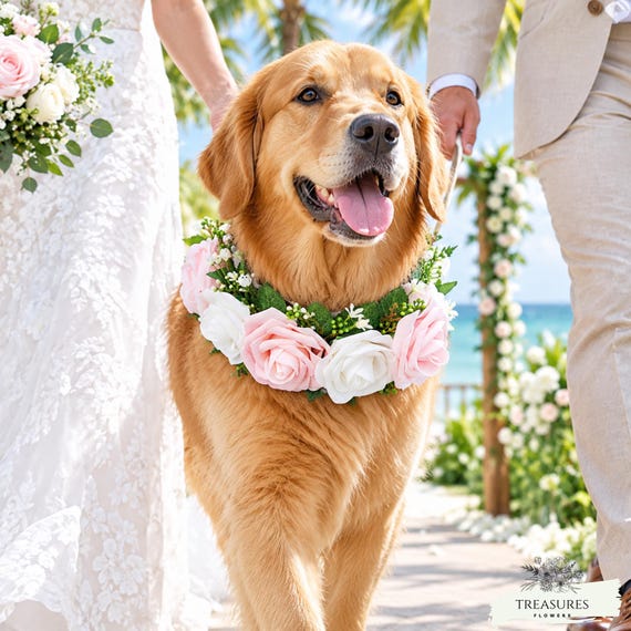 Elegant Flower Dog Collar Floral Dog Collar with Pink Rose Foams Large Dog Collar 19-23 inches Premium Leather Dog Collar Pet Wedding, gift