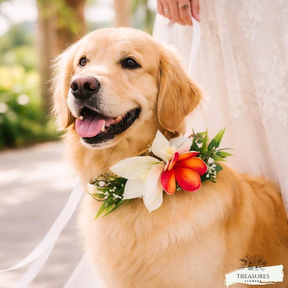 Elegant Floral Dog Collar for Weddings, Handmade Pet Flower Necklace, Bridal Dog Accessory, Romantic Wedding Pet Decor, artificial flower
