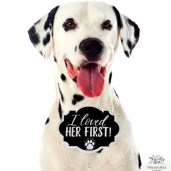 I Loved Her First! sign Dog, wedding sign dog, lover-dog wedding, sign dog, Brides dog sign, engagement photo prop, rustic wedding.