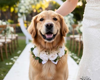 Dog Flower Collar, Dog Collar, Dog Wreath, Dog Wedding Collar, White Roses Collar, Dog Wedding Flower, Artificial Flower, Flower for dog.