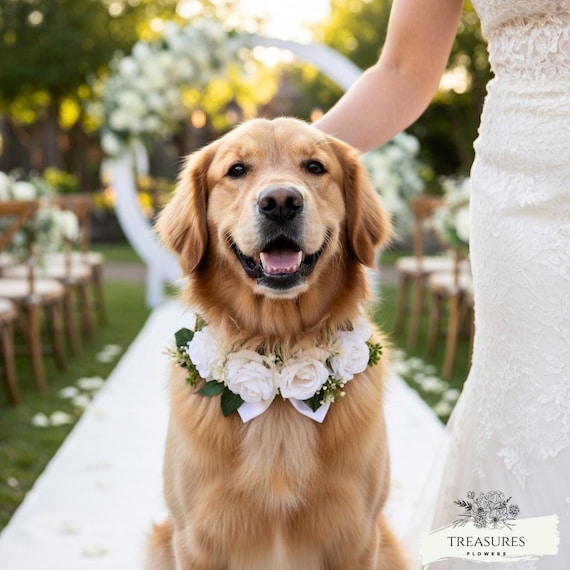 Dog Flower Collar, Dog Collar, Dog Wreath, Dog Wedding Collar, White Roses Collar, Dog Wedding Flower, Artificial Flower, Flower for dog.