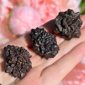 May include: Four dark brown hematite rose specimens with a textured, crystalline appearance. The hematite roses are clustered together, showcasing their unique, natural formations. The background features soft pink and green hues.