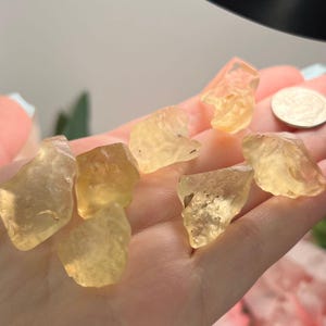 Puede incluir: Una colecci&oacute;n de cristales de citrino en bruto, transl&uacute;cidos, de color amarillo-naranja. Los cristales var&iacute;an en tama&ntilde;o y forma, con algunas peque&ntilde;as inclusiones visibles. Se incluye una moneda como referencia de tama&ntilde;o. Los cristales se sostienen en una mano.