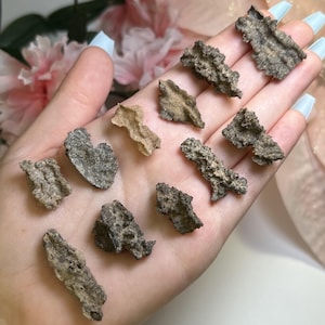 FULGURITE Pick Yours | Hollow Specimens  | Petrified Lightning | Formed from Lightning Striking Sand | Fulgurite from Algerian Desert