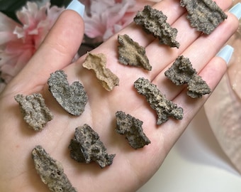FULGURITE Pick Yours | Hollow Specimens  | Petrified Lightning | Formed from Lightning Striking Sand | Fulgurite from Algerian Desert