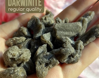 Regular Quality Darwinite 1-5 grams | DARWIN Glass Tektite | Impact Glass Impactite | Meteorite | Tasmania Australia