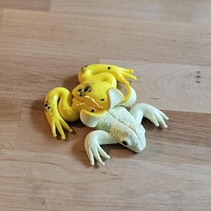 Banana Frog - fruit frog - polymer clay - sculpture - white - yellow - brown
