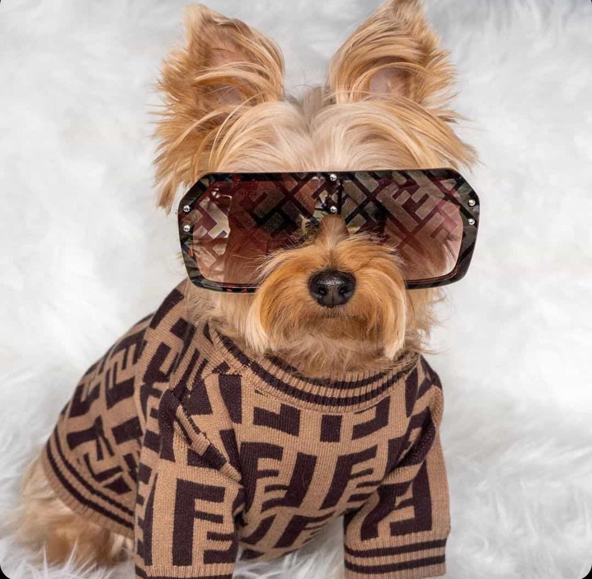 Hoodie Louis Vuitton Dog Clothes For Sale Louis Vuitton Dog Dog