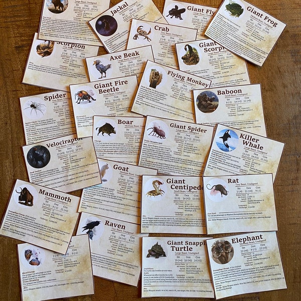 Druid Wild Shapes Deck of Cards Etsy