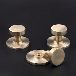 Unlacquered Brass Matte Round Cabinet Knob Pulls with Backplate