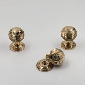 Unlacquered Polished Brass Round Knob with Backplate Solid Pull - Texture Design
