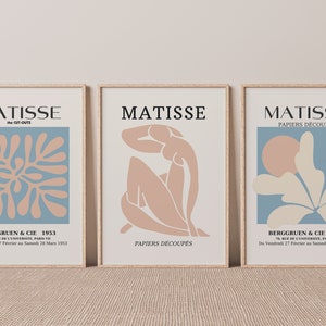 Pu&ograve; includere: Tre stampe d'arte incorniciate che presentano disegni astratti ritagliati di Henri Matisse. Le stampe sono intitolate "The Cut-Outs", "Papiers Decoupes" e "Papiers Decoupes". Ogni stampa presenta un design diverso in tonalit&agrave; di blu, rosa e bianco.