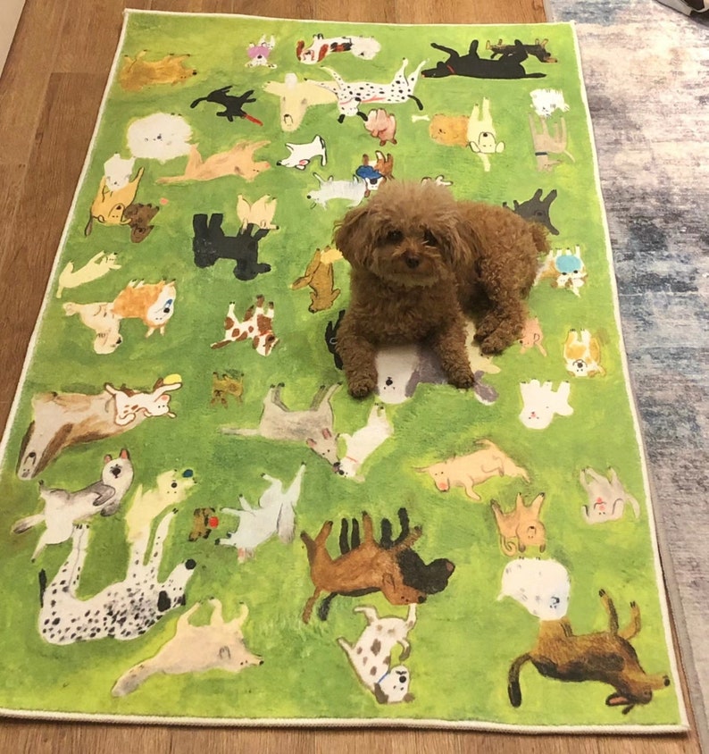 Unique Outdoor Rug, Dog Park Rug, Bedroom Bedside Living Room Coffee