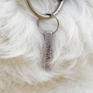 Op de afbeelding: Een zilveren hondenpenning met de naam "MAYA" erop gegraveerd. De penning is bevestigd aan een zilveren ring en een zwart-wit gestreepte halsband.