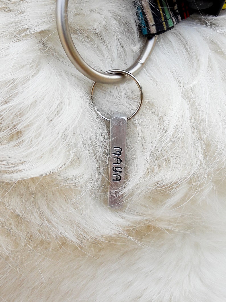 Op de afbeelding: Een zilveren hondenpenning met de naam "MAYA" erop gegraveerd. De penning is bevestigd aan een zilveren ring en een zwart-wit gestreepte halsband.